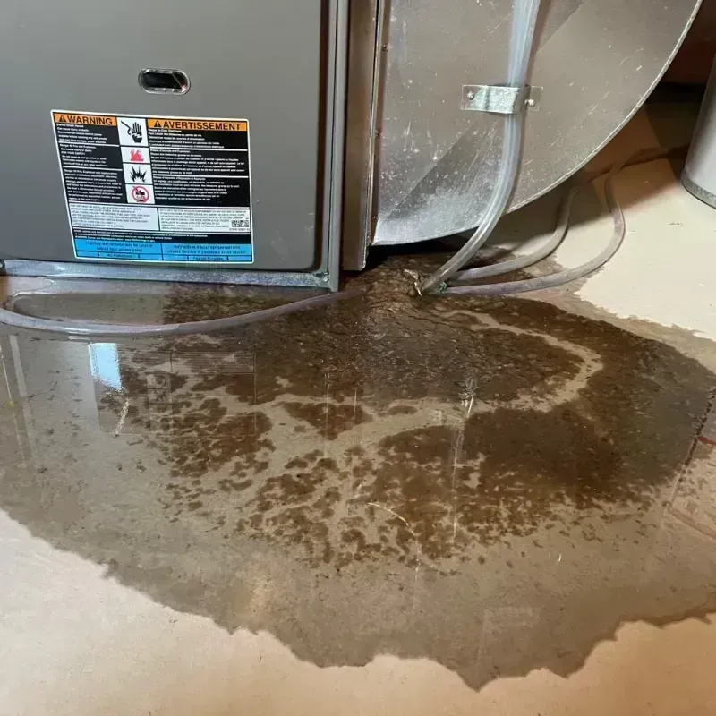 Appliance Leak Cleanup in Douglas, AZ